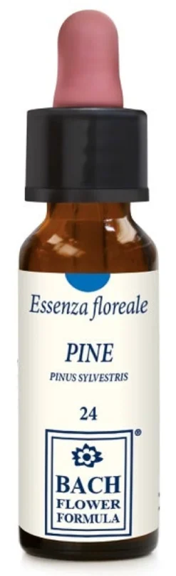PINE