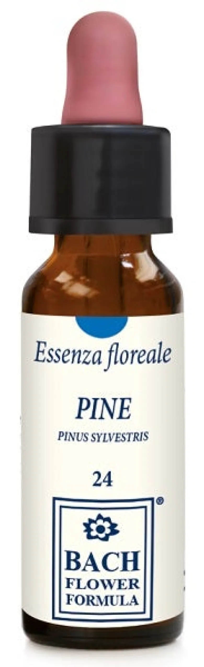PINE