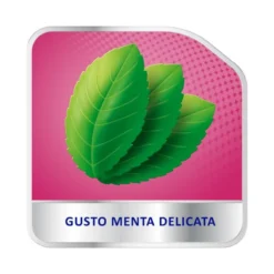 Polident Fissativo Lunga Tenuta Adesivo Per Protesi Dentale Tenuta Giornaliera Gusto Menta 70g
