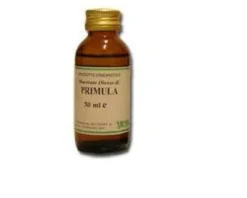 Primula