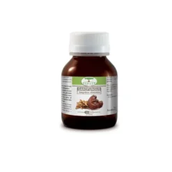 Renaco Ganofungus per le naturali difese dell'organismo 60 capsule