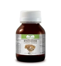 Renaco Maitake Fungus per il sostegno del sistema immunitario e del metabolismo 60 capsule