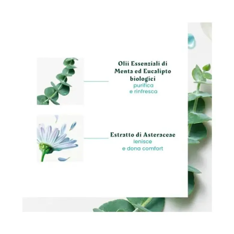 René Furterer Astera Head Spa Concentrato Lenitivo Cuoio Capelluto 50ml