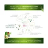 Restivoil Tecnonaturae Cereali Iperfermentati shampoo nutriente 250ml