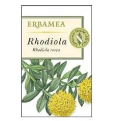 Rhodiola