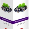 Ribes Nigrum Macerato Glicerico Gocce 100ml - Antiossidante Naturale