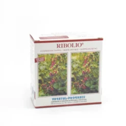 Ribolio Olio di Ribes nero DOPPIA CONFEZIONE 50+50 capsule
