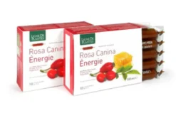 Rosa Canina Energy integratore alimentare utile come antiossidante 10 ampolle