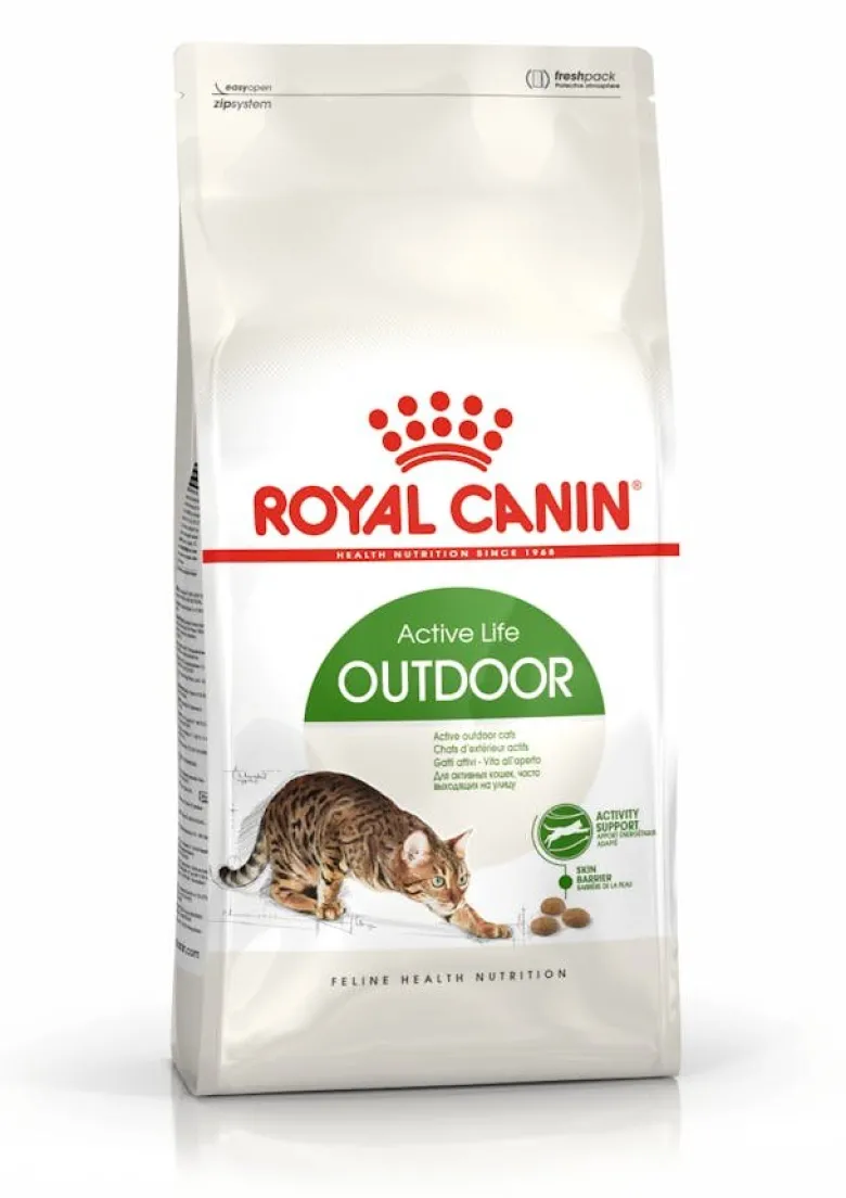 Royal Canin Active Life Outdoor Alimento Secco Per Gatti Adulti 400g