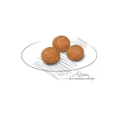 Royal Canin Crocchette Cane Extra Small Adult 500g
