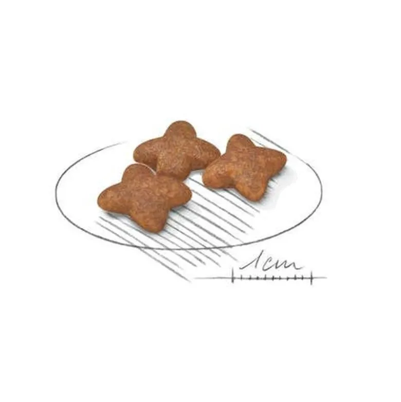 Royal Canin Crocchette Per Cane Adulti Taglia Mini Sacco 800g