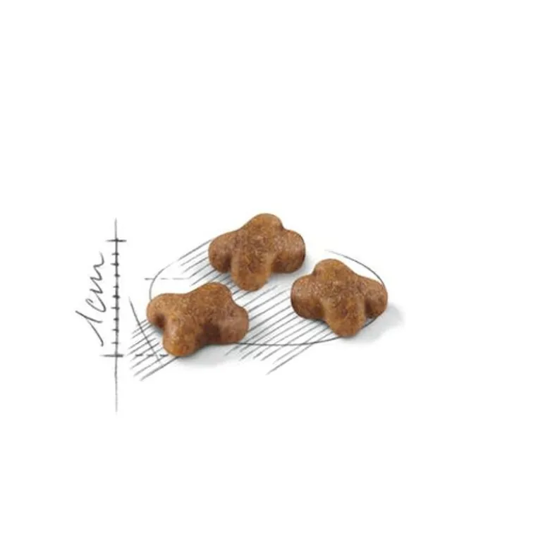 Royal Canin Kitten Crocchette Per Gatti 400g