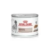 Royal Canin Veterinary Health Nutrition Hepatic per Cane 200g