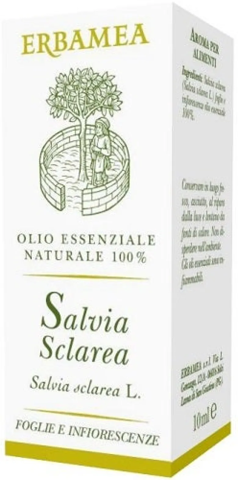 SALVIA SCLAREA