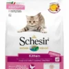 Schesir Kitten