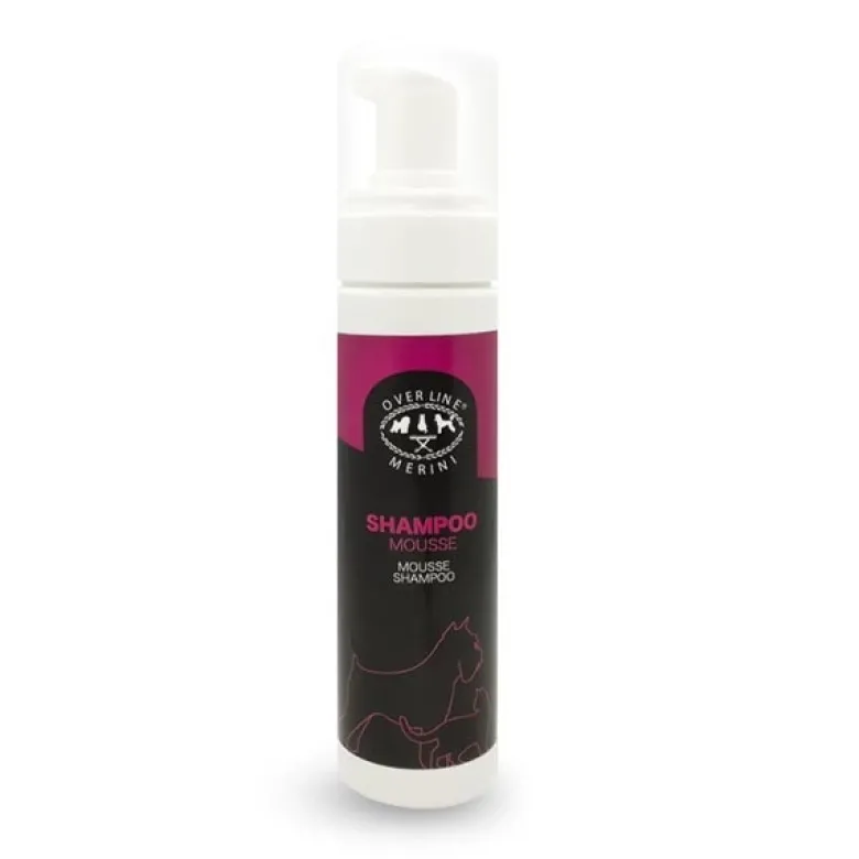 Shampoo Secco Mousse