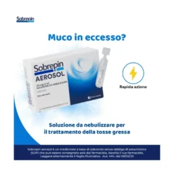 Sobrepin Aerosol 40mg/3ml soluzione da nebulizzare 10 contenitori monodose