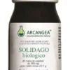 SOLIDAGO    biologico
