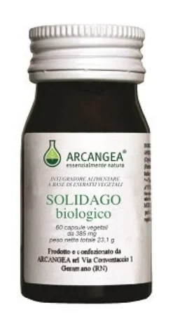 SOLIDAGO    biologico