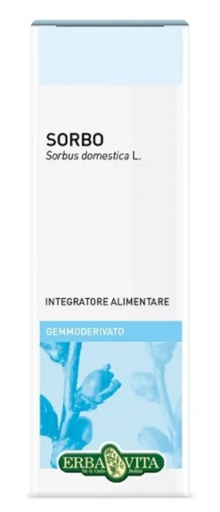 Sorbo