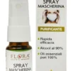 SPRAY MASCHERINA