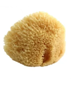 Spugna Naturale Media 1 Pezzo