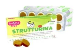 Strutturina