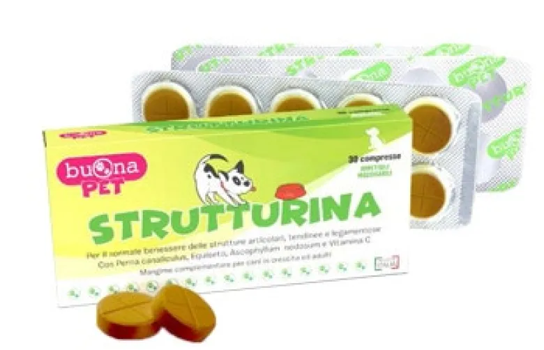 Strutturina