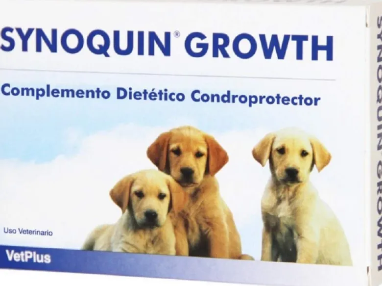 Synoquin Growth