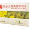 TRIBULUS