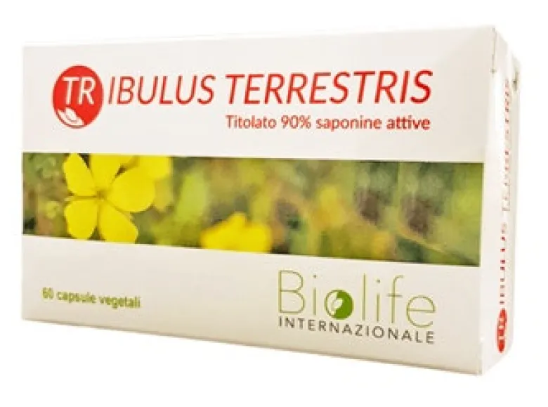 TRIBULUS
