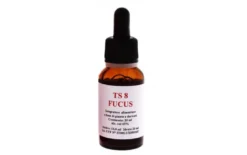 TS8 Fucus olio essenziale 20ml