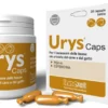 Urys Caps per il benessere delle vie urinarie di cane e gatto 30 capsule birillo