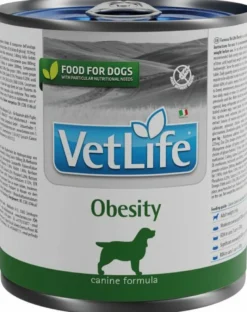VET LIFE NAT DIET DOG OBES300G