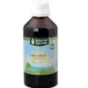 Vidyamap utile per le attività intellettuali 200ml