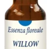 WILLOW