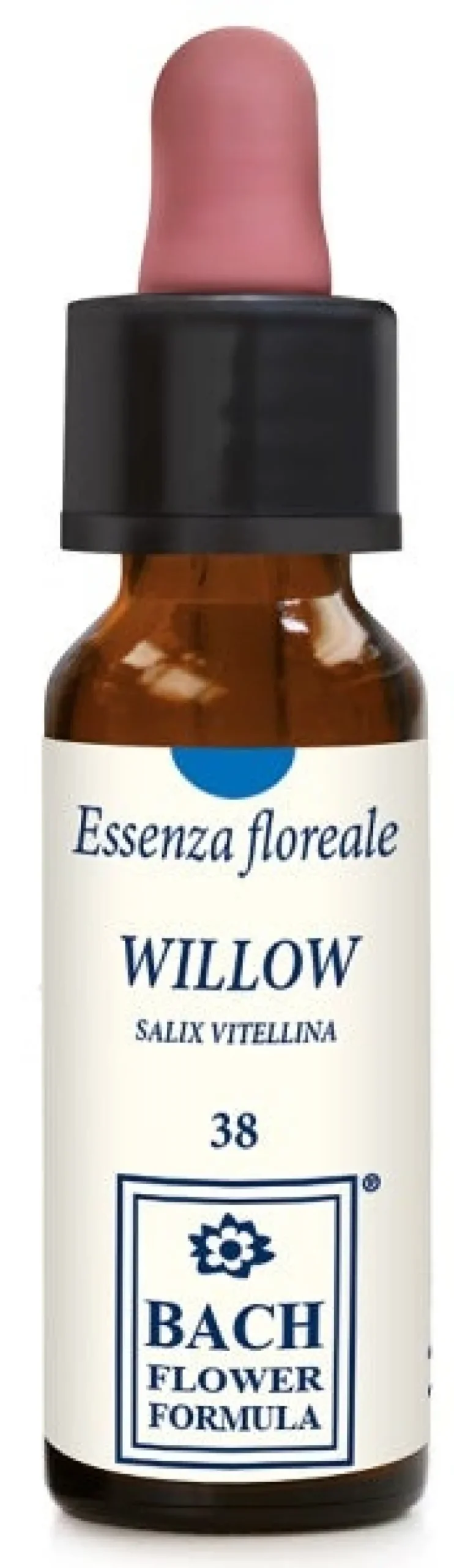 WILLOW