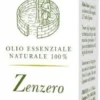 ZENZERO