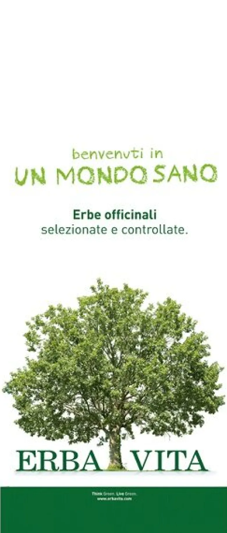 ZENZERO POLVERE RIZOMA 100G