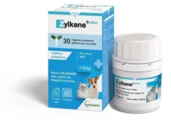 ZYLKENE Plus
